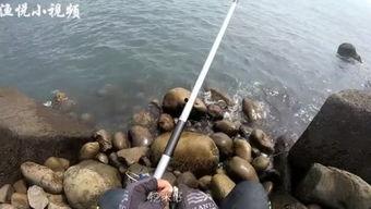 jm海钓视频,跟随JM海钓之旅，领略深海魅力