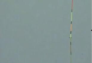 钓浮怎么调漂视频,视频教程深度解读